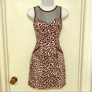 Divided Leopard and Mesh Bodycon Dress